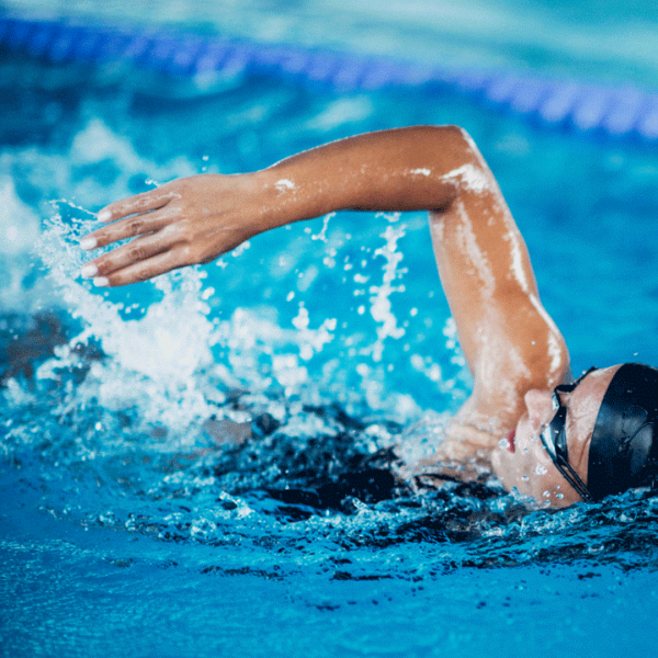 Kraulkurs (offen) Kraulkurs (offen)